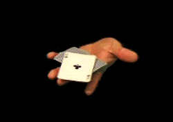 Table Triple False Cut